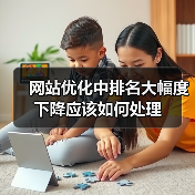 网站优化中排名大幅度下降应该如何处理（图2）