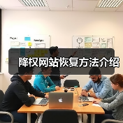 降权网站恢复方法介绍（图2）