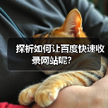 探析如何让百度快速收录网站呢？（图3）
