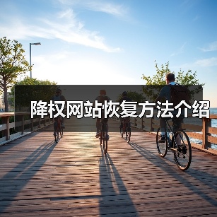 降权网站恢复方法介绍（图3）