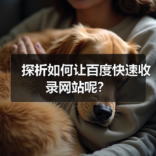 探析如何让百度快速收录网站呢？（图4）