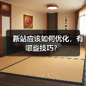 新站应该如何优化，有哪些技巧？（图1）