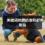 关键词挖掘的准则都有哪些（图2）