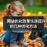 网站优化效果快速提升的几种优化方法（图3）