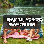 网站优化时收录出现异常的原因有哪些?（图1）