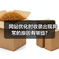 网站优化时收录出现异常的原因有哪些?（图3）