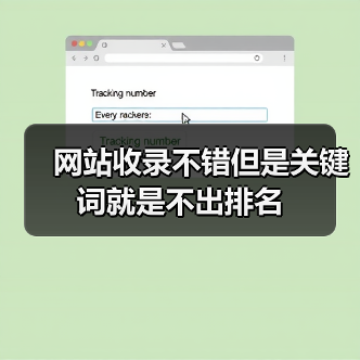 网站收录不错但是关键词就是不出排名（图4）