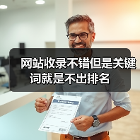 网站收录不错但是关键词就是不出排名（图2）