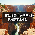 网站收录不错但是关键词就是不出排名（图3）