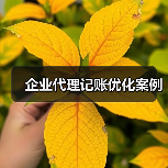 企业代理记账优化案例（图3）