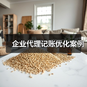 企业代理记账优化案例（图2）