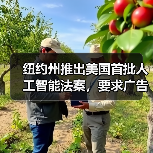 纽约州推出美国首批人工智能法案，要求广告商披露 AI 生成人物片段（图2）
