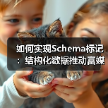如何实现Schema标记:结构化数据推动富媒体的完美融合(图4) 如何实现Schema标记:结构化数据推动富媒体的完美融合(图4)