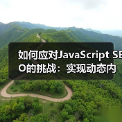 如何应对JavaScript SEO的挑战：实现动态内容的完美优化（图3）