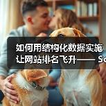 如何用结构化数据实施让网站排名飞升—— Schema标记与富媒体的秘密武器（图3）