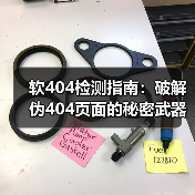 软404检测指南：破解伪404页面的秘密武器（图4）