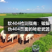 软404检测指南：破解伪404页面的秘密武器（图3）