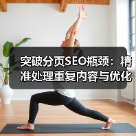突破分页SEO瓶颈：精准处理重复内容与优化视图参数的极致指南（图3）