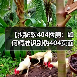 【揭秘软404检测：如何精准识别伪404页面保障网站质量】（图2）