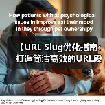 【URL Slug优化指南：打造简洁高效的URL段】（图4）