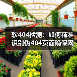 软404检测：如何精准识别伪404页面确保网站内容质量（图4）