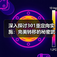 深入探讨301重定向实施：完美转移的秘密武器（图3）