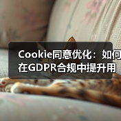 Cookie同意优化：如何在GDPR合规中提升用户体验（图3）
