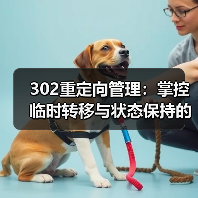 302重定向管理：掌控临时转移与状态保持的核心技巧（图4）