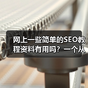 网上一些简单的SEO教程资料有用吗?一个从迷茫到实践的真实探索(图2) 网上一些简单的SEO教程资料有用吗?一个从迷茫到实践的真实探索(图2)