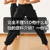 完全不懂SEO有什么基础的资料介绍?一份实用指南帮你入门(图1) 完全不懂SEO有什么基础的资料介绍?一份实用指南帮你入门(图1)