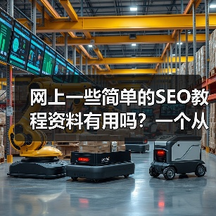 网上一些简单的SEO教程资料有用吗?一个从迷茫到实践的真实探索(图3) 网上一些简单的SEO教程资料有用吗?一个从迷茫到实践的真实探索(图3)