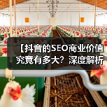 【抖音的SEO商业价值究竟有多大?深度解析2026年趋势】(图2) 【抖音的SEO商业价值究竟有多大?深度解析2026年趋势】(图2)