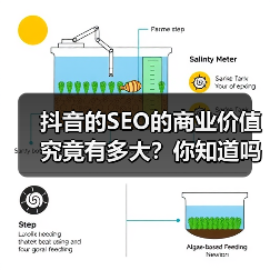 抖音的SEO的商业价值究竟有多大?你知道吗,这个一直被视作短视频平台的“流量池”,其实隐藏着巨大的商业潜力。很多企业和个人尚未深刻理解抖音的SEO,错失了开启“(图2) 抖音的SEO的商业价值究竟有多大?你知道吗,这个一直被视作短视频平台的“流量池”,其实隐藏着巨大的商业潜力。很多企业和个人尚未深刻理解抖音的SEO,错失了开启“(图2)
