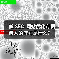 做 SEO 网站优化专员最大的压力是什么?(图4) 做 SEO 网站优化专员最大的压力是什么?(图4)