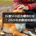 抖音SEO适合哪些行业?2026年的新趋势解析(图4) 抖音SEO适合哪些行业?2026年的新趋势解析(图4)