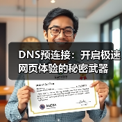 DNS预连接:开启极速网页体验的秘密武器(图2) DNS预连接:开启极速网页体验的秘密武器(图2)