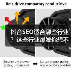 抖音SEO适合哪些行业?这些行业爆发你想不到!(图4) 抖音SEO适合哪些行业?这些行业爆发你想不到!(图4)