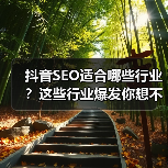 抖音SEO适合哪些行业?这些行业爆发你想不到!(图1) 抖音SEO适合哪些行业?这些行业爆发你想不到!(图1)
