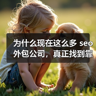 为什么现在这么多 seo外包公司,真正找到靠谱的你知道吗?每当我问身边的朋友或同行,选择靠谱吗的 seo外包公司像是在找“针”还是“海豚”?市面上琳琅满目的广告(图3) 为什么现在这么多 seo外包公司,真正找到靠谱的你知道吗?每当我问身边的朋友或同行,选择靠谱吗的 seo外包公司像是在找“针”还是“海豚”?市面上琳琅满目的广告(图3)