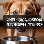 如何让你的站内SEO优化权重飙升？实战技巧全面解析（图3）