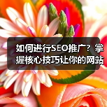 如何进行SEO推广？掌握核心技巧让你的网站流量翻倍