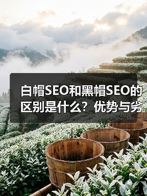 白帽SEO和黑帽SEO的区别是什么？优势与劣势深度解析（图1）