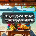 如何在众多SEO外包公司中找到最适合你的合作伙伴?(图4) 如何在众多SEO外包公司中找到最适合你的合作伙伴?(图4)