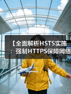 【全面解析HSTS实施:强制HTTPS保障网络安全的秘密武器】(图3) 【全面解析HSTS实施:强制HTTPS保障网络安全的秘密武器】(图3)