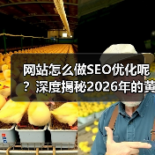 网站怎么做SEO优化呢?深度揭秘2026年的黄金策略(图2) 网站怎么做SEO优化呢?深度揭秘2026年的黄金策略(图2)