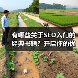 有哪些关于SEO入门的经典书籍？开启你的优化之旅（图1）