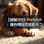 【揭秘DNS Prefetch:提升网站性能的不二法门】(图1) 【揭秘DNS Prefetch:提升网站性能的不二法门】(图1)