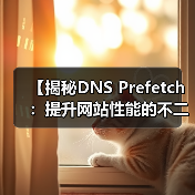 【揭秘DNS Prefetch:提升网站性能的不二法门】(图4) 【揭秘DNS Prefetch:提升网站性能的不二法门】(图4)