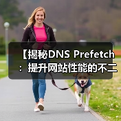 【揭秘DNS Prefetch:提升网站性能的不二法门】(图2) 【揭秘DNS Prefetch:提升网站性能的不二法门】(图2)