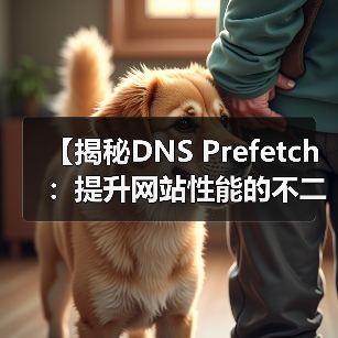 【揭秘DNS Prefetch:提升网站性能的不二法门】(图3) 【揭秘DNS Prefetch:提升网站性能的不二法门】(图3)